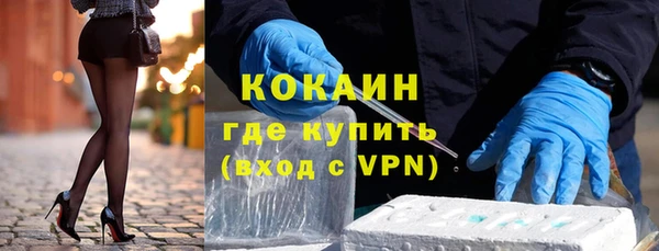 стаф Новозыбков