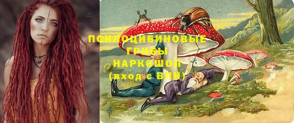 сатива Нефтегорск