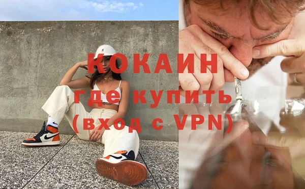 стаф Новозыбков