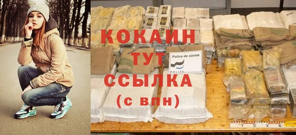 стаф Новозыбков