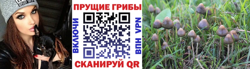 Псилоцибиновые грибы MAGIC MUSHROOMS  Карпинск 