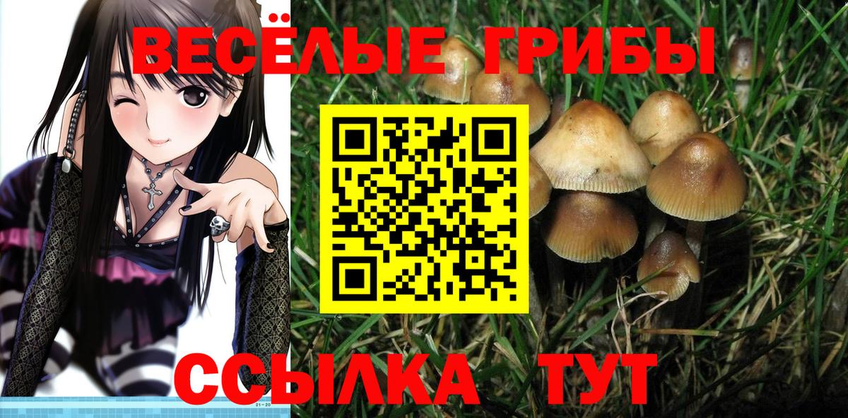 где продают наркотики  Вход с VPN  Карпинск  Псилоцибиновые грибы мицелий 