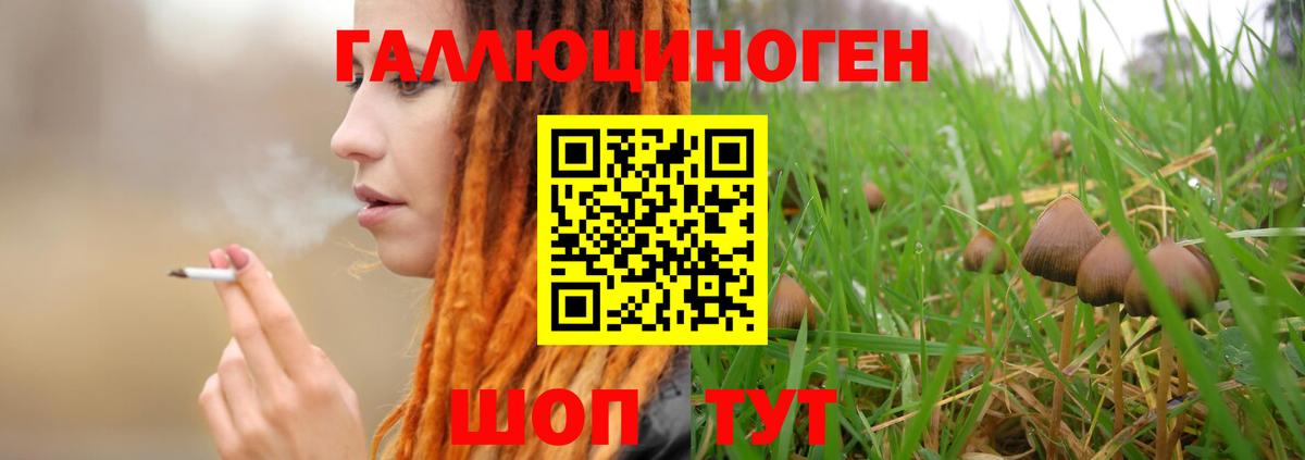 Псилоцибиновые грибы мухоморы Карпинск