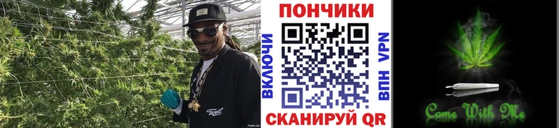 Марихуана индика как найти Карпинск